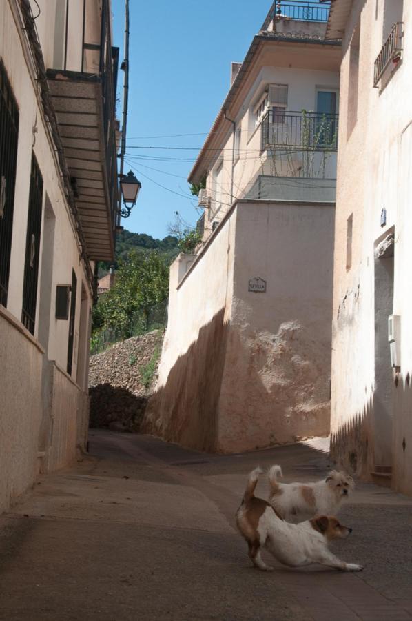 Casa Beatles Del Valle Pinos del Valle 外观 照片